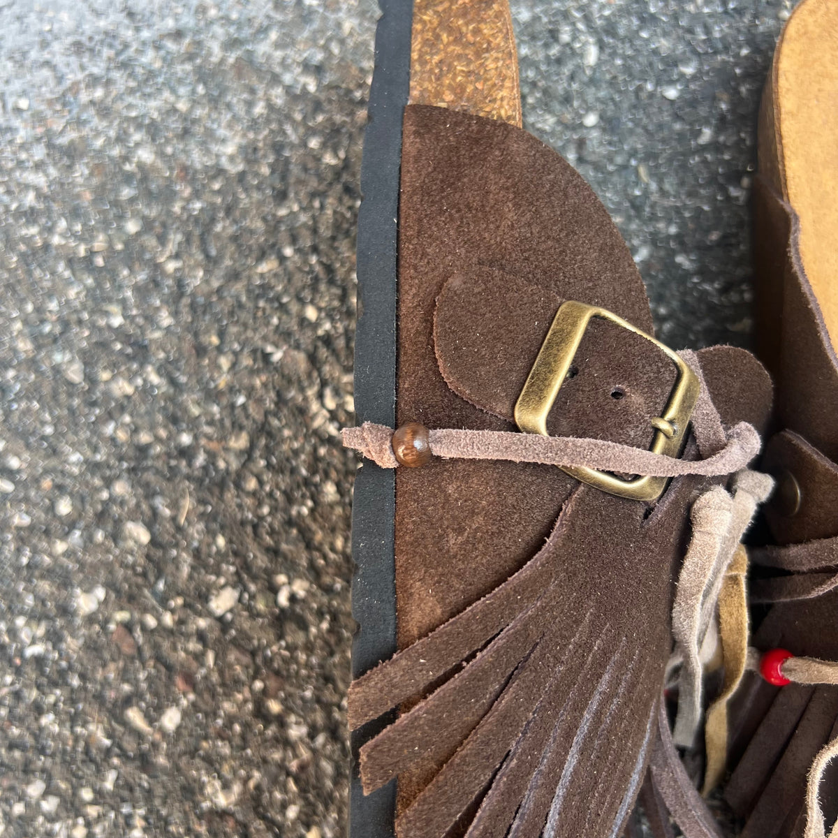 SABOT IN CAMOSCIO