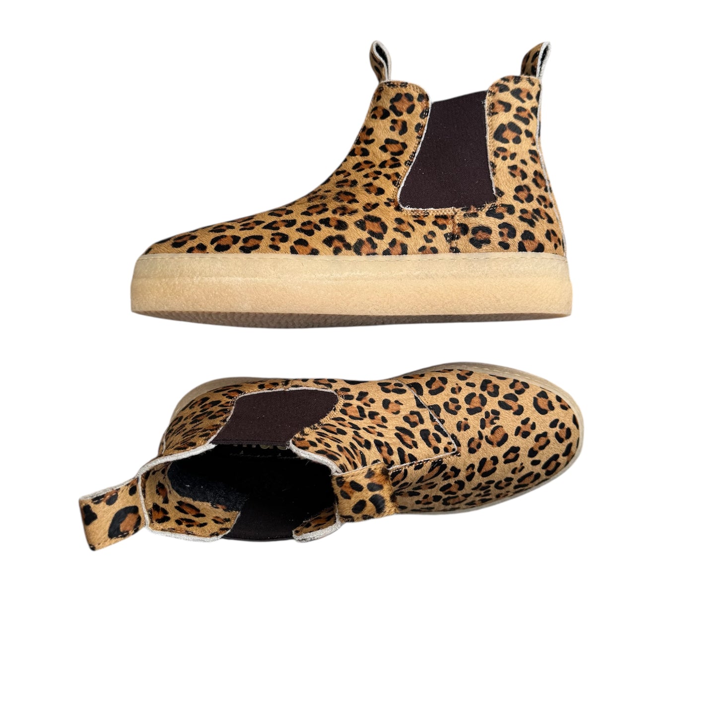 BEATLES CAVALLINO / MUSE