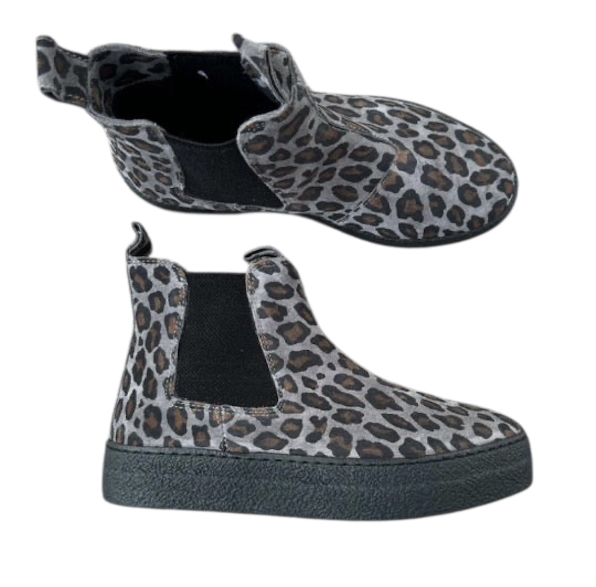 BEATLES  IN CAMOSCIO // MUSE